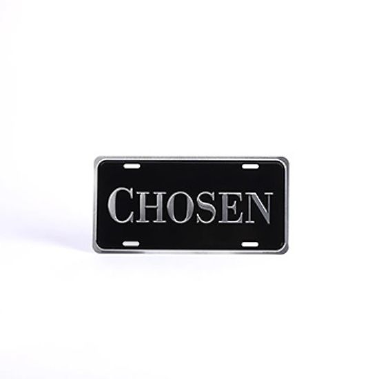 Picture of Autotag Deluxe Chosen Silver