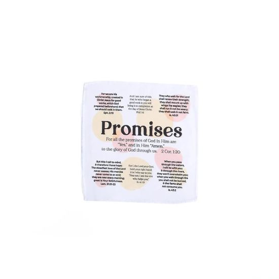 Picture of Prayers in My Pocket Promises 8X8 6CT