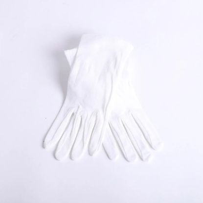 Picture of Glove White Plain XXL