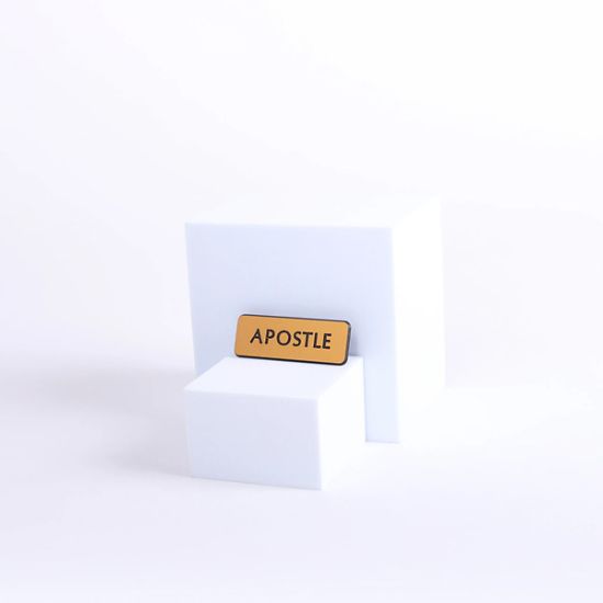 Picture of Badge Engraved Contemporary Apostle Gold Pin