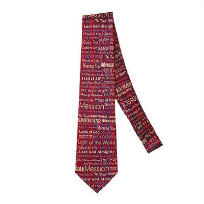 Picture of Freeman Tie Silk I AM Burgundy