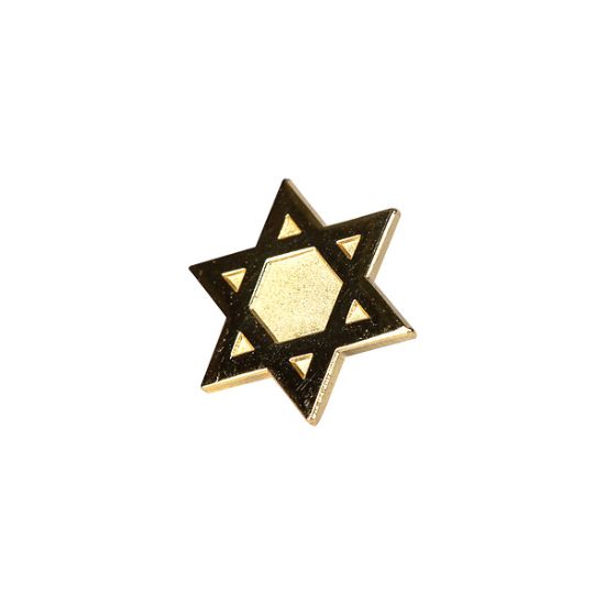 Picture of Lapel Pin Star of David Gold PK6