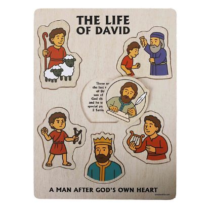 Picture of Puzzle Wood Life of David