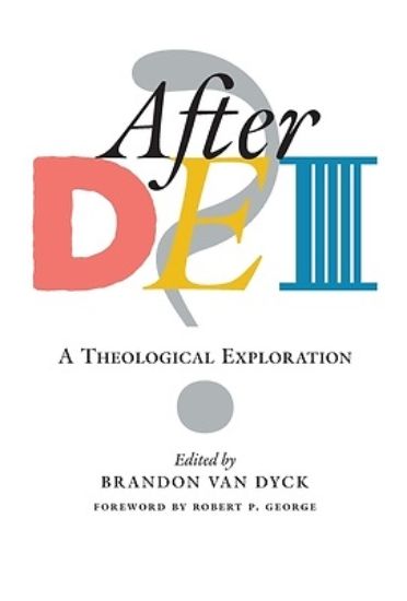 Picture of After DEI?
