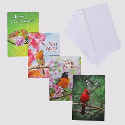 Picture of Boxed Cards All Occasion Feathered Friends 12CT