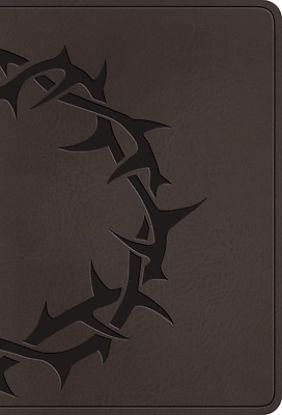 Picture of ESV Large Print Value Compact Bible, Red Letter (Trutone, Charcoal, Crown Design)