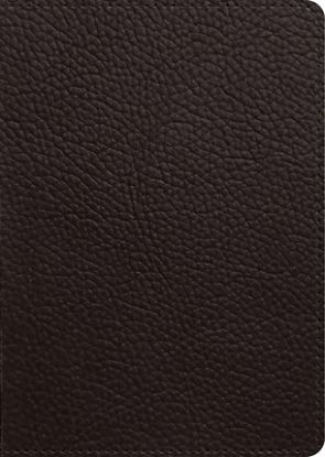 Picture of ESV New Testament, Large Print (Buffalo Leather, Deep Brown)