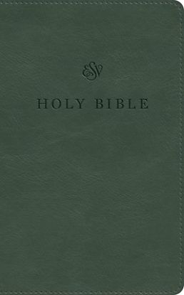 Picture of ESV Premium Church Bible, Large Print (Trutone, Quiet Forest)