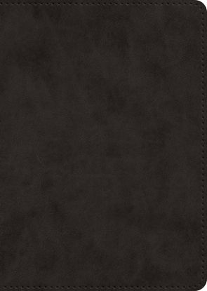 Picture of ESV New Testament, Large Print (Trutone, Black)
