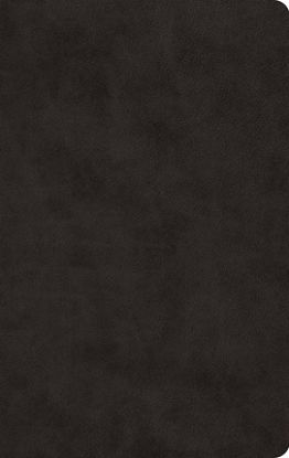 Picture of ESV Large Print Value Thinline Bible, Red Letter (Trutone, Black)
