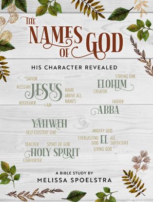 Picture of The Names of God Women's Bible Study Participant Workbook