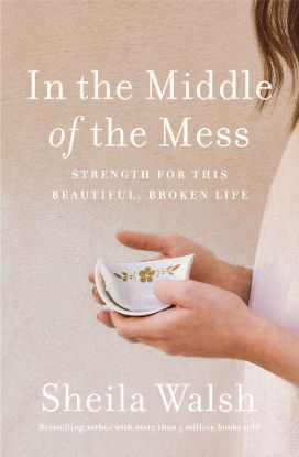 Picture of In the Middle of the Mess