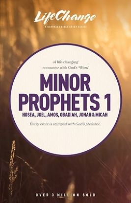 Picture of Minor Prophets 1 -