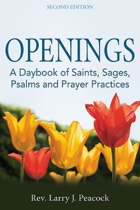 Picture of Openings