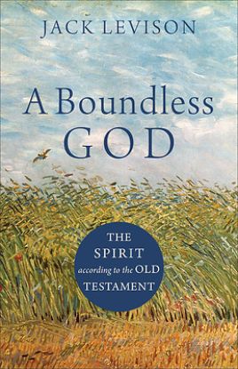 Picture of A Boundless God