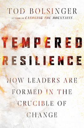 Picture of Tempered Resilience