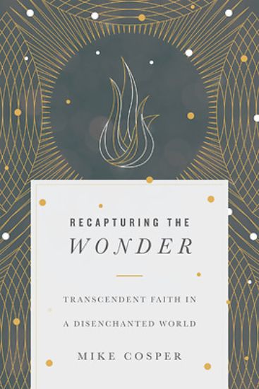Picture of Recapturing the Wonder - eBook [ePub]