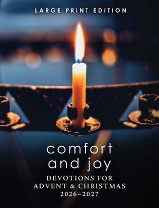 Picture of Comfort and Joy Large Print Large Print