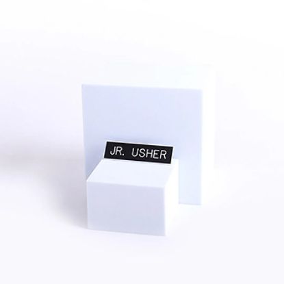 Picture of Black and White Junior Usher Pin-On Badge