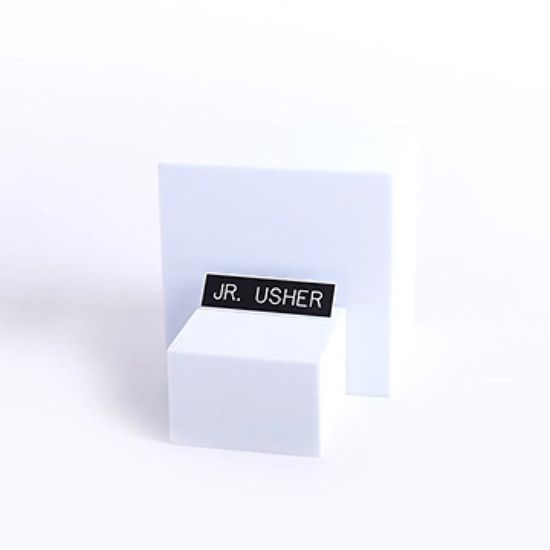 Picture of Black and White Junior Usher Pin-On Badge