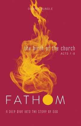 Picture of Fathom Bible Studies: The Birth of the Church Digital Bundle (Luke 24-Acts 8)