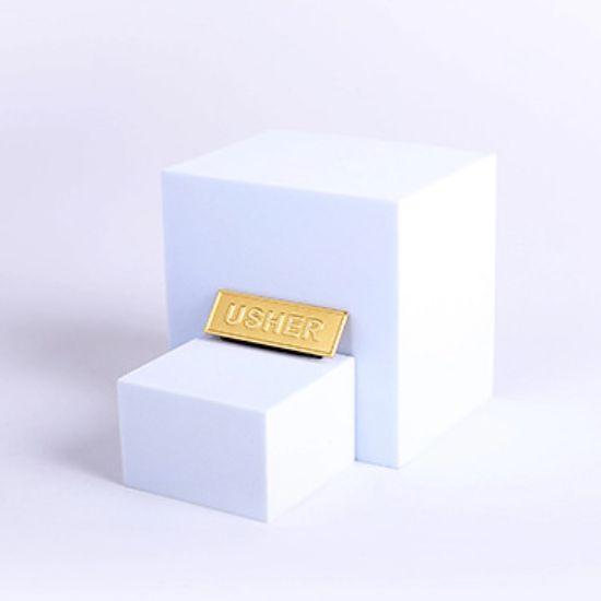 Picture of Gold Metal Usher Magnetic Badge