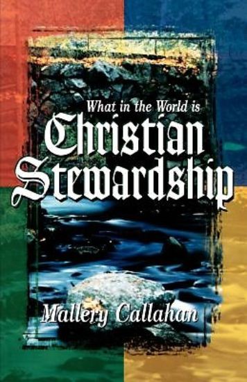 Picture of What in the World Is Christian Stewardship