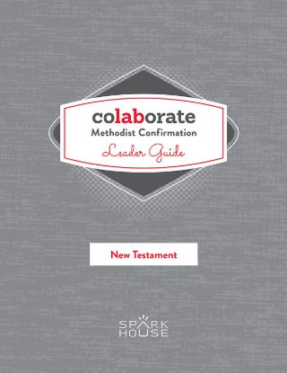 Picture of Colaborate Methodist Confirmation Leader Guide New Testament