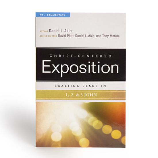 Picture of Exalting Jesus in 1,2,3 John