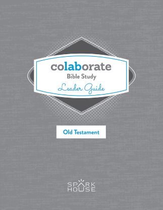 Picture of Colaborate Bible Study  Leader Guide Old Testament
