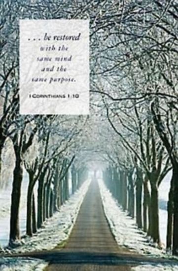 Picture of Winter Path Scripture Series Bulletin (Pkg of 50)