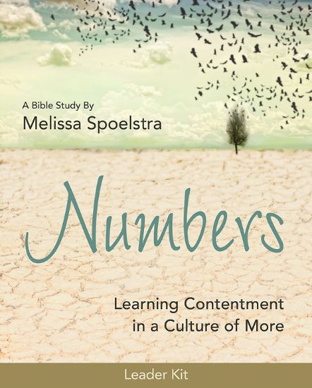 Picture of Numbers - Women's Bible Study Leader Kit