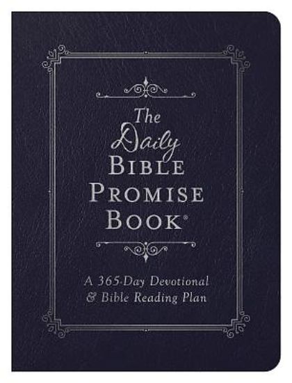 Picture of The Daily Bible Promise Book