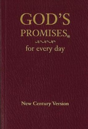 Picture of God's Promises for Every Day