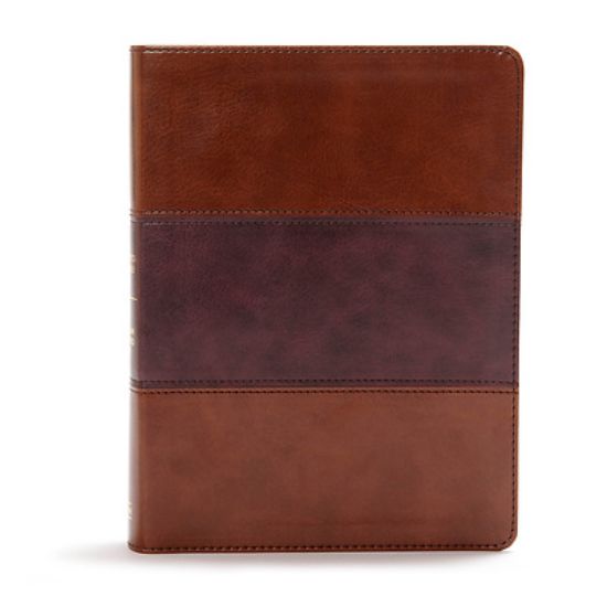 Picture of CSB Apologetics Study Bible, Mahogany Leathertouch, Indexed
