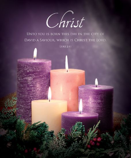 Advent Bulletin Week 5 Luke 2:11 Legal