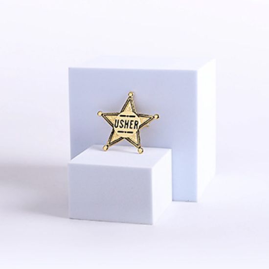 Picture of Pointed Gold Star Usher Pin-On Badge