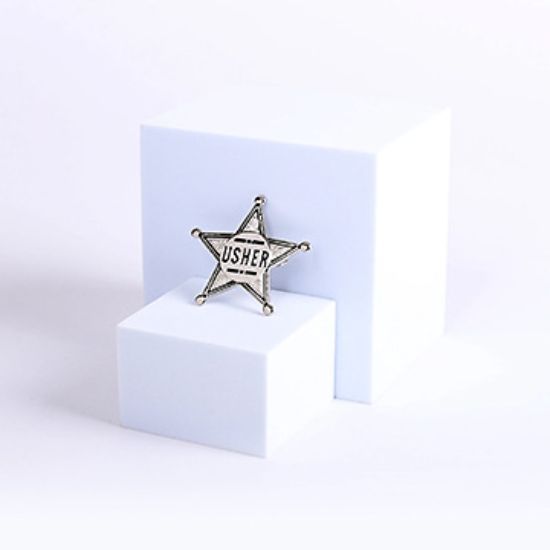 Picture of Pointed Silver Star Usher Pin-On Badge