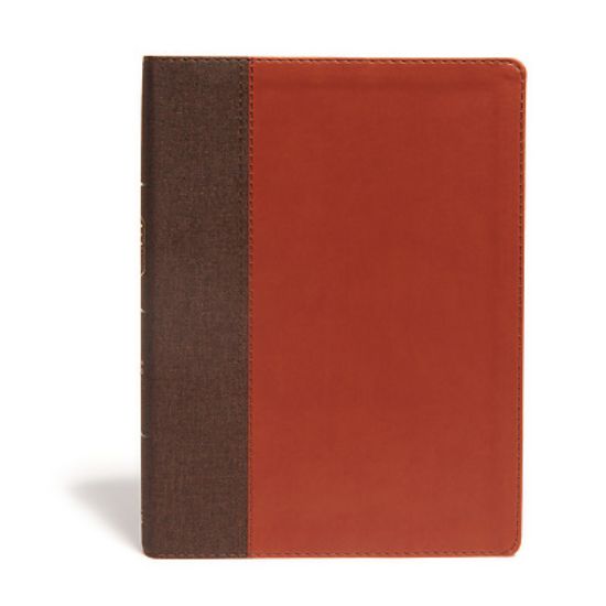 Picture of CSB Life Essentials Study Bible, Brown Leathertouch, Indexed