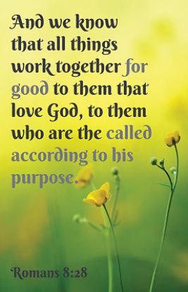 Picture of All Things Worship Bulletin PKG 100