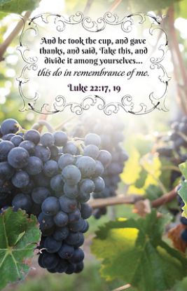 Picture of And He Took Communion Bulletin PKG 100