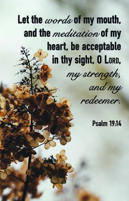 Picture of Acceptable in thy Sight Worship Bulletin PKG 100