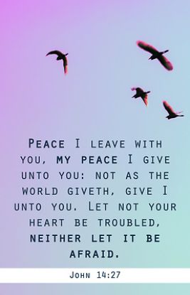 Picture of My Peace Funeral Bulletin PKG 100